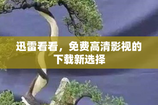 免费高清影视的下载新选择图片