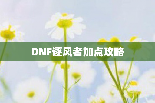 DNF逐风者加点攻略图片
