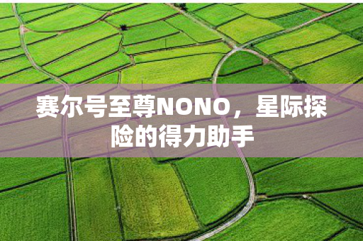 赛尔号至尊NONO图片
