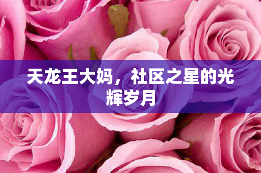 社区之星的光辉岁月图片