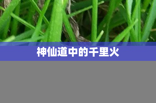 神仙道中的千里火图片