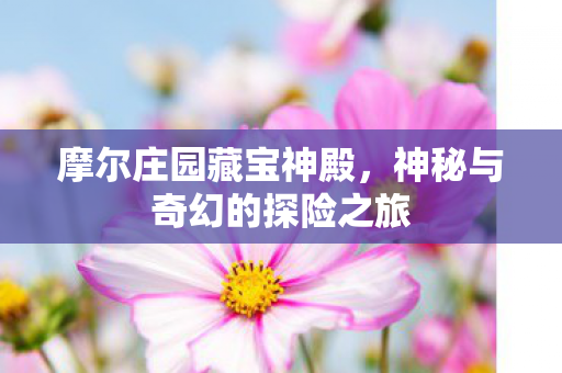 神秘与奇幻的探险之旅图片