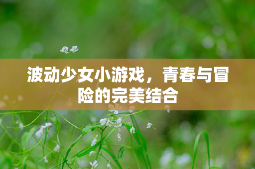 青春与冒险的完美结合图片