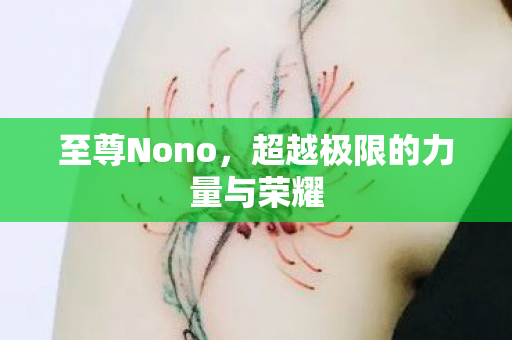 超越极限的力量与荣耀图片