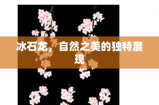 自然之美的独特展现图片