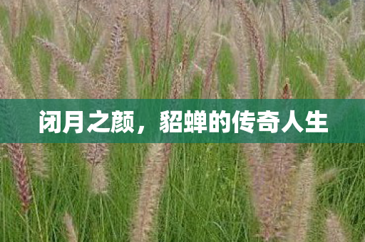 貂蝉的传奇人生图片