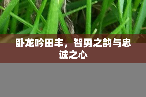 智勇之韵与忠诚之心图片