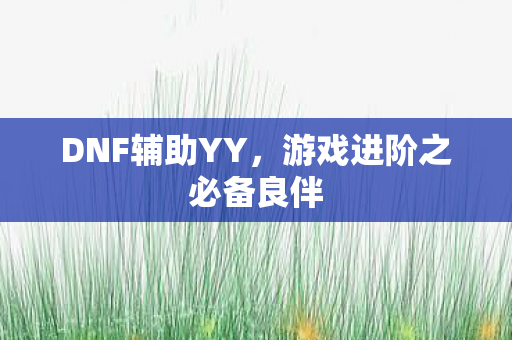 游戏进阶之必备良伴图片