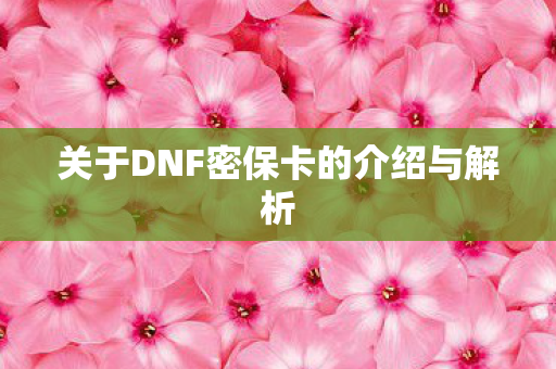 关于DNF密保卡的介绍与解析图片