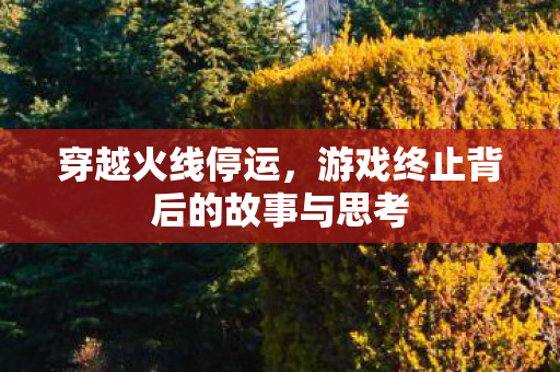 游戏终止背后的故事与思考图片