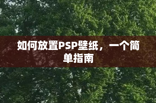 如何放置PSP壁纸图片