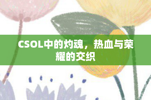CSOL中的灼魂图片