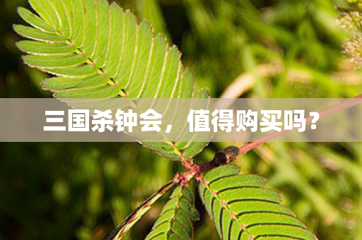 三国杀钟会图片