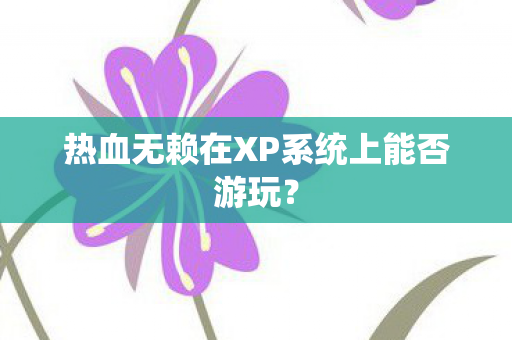 热血无赖在XP系统上能否游玩图片