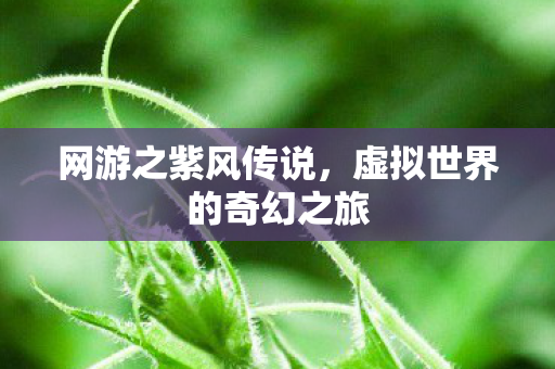 虚拟世界的奇幻之旅图片