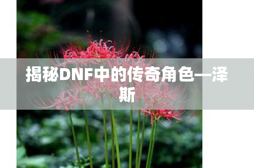 揭秘DNF中的传奇角色图片