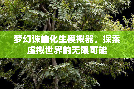 探索虚拟世界的无限可能图片