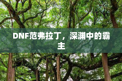 DNF范弗拉丁图片