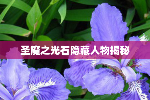 圣魔之光石隐藏人物揭秘图片
