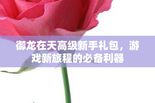 御龙在天高级新手礼包图片