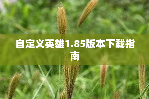 85版本下载指南图片