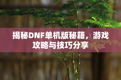 揭秘DNF单机版秘籍图片