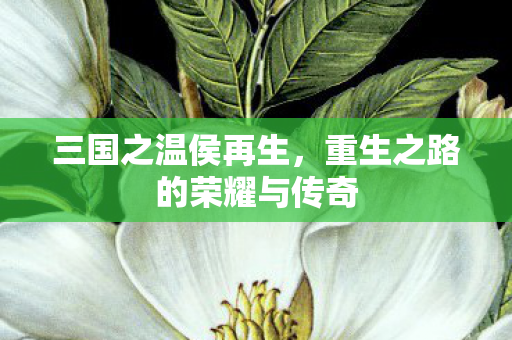 重生之路的荣耀与传奇图片