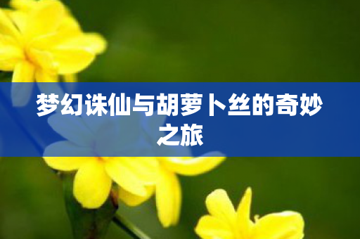 梦幻诛仙与胡萝卜丝的奇妙之旅图片