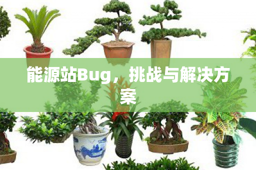 挑战与解决方案图片