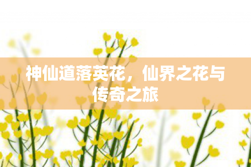 仙界之花与传奇之旅图片