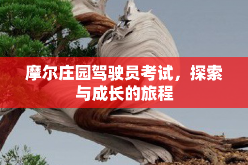 摩尔庄园驾驶员考试图片