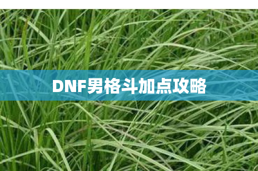 DNF男格斗加点攻略图片