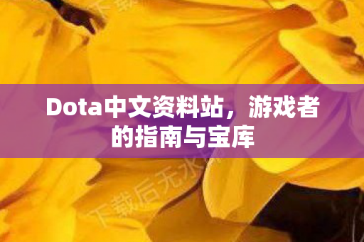 Dota中文资料站图片