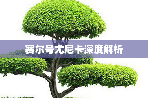 赛尔号尤尼卡深度解析图片