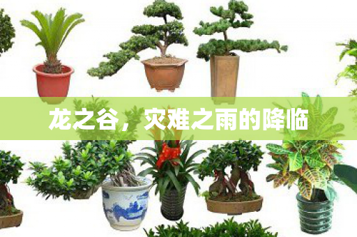 灾难之雨的降临图片