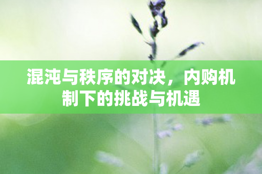 内购机制下的挑战与机遇图片