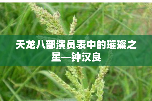 天龙八部演员表中的璀璨之星图片