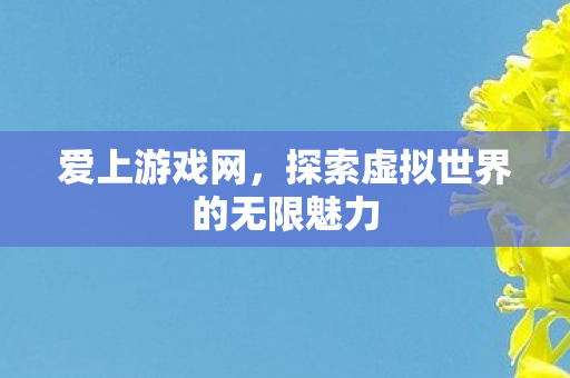 探索虚拟世界的无限魅力图片