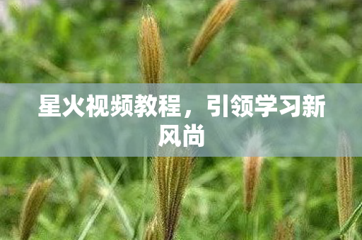 引领学习新风尚图片