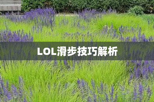 LOL滑步技巧解析图片