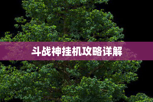 斗战神挂机攻略详解图片