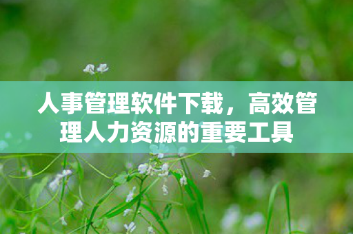 高效管理人力资源的重要工具图片