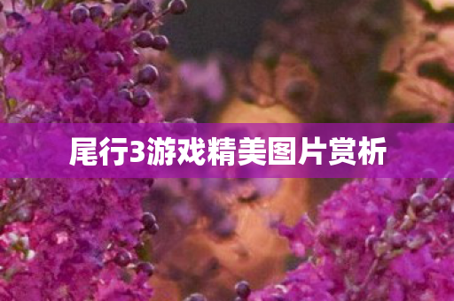 尾行3游戏精美图片赏析图片
