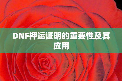 DNF押运证明的重要性及其应用图片