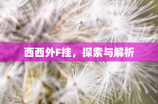 西西外F挂图片