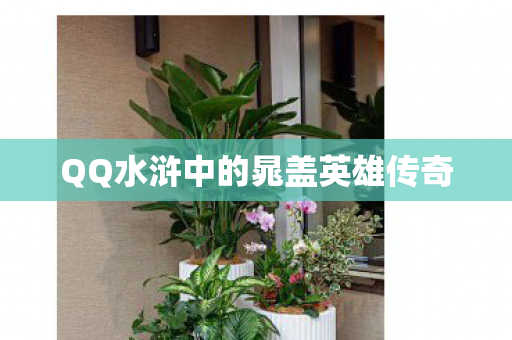 QQ水浒中的晁盖英雄传奇图片