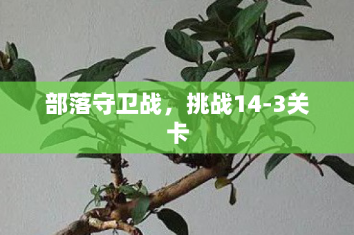 部落守卫战图片