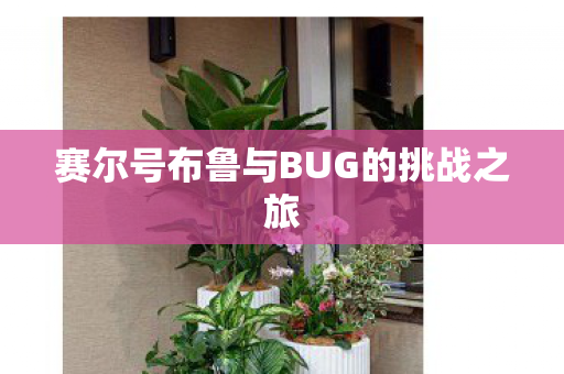 赛尔号布鲁与BUG的挑战之旅图片