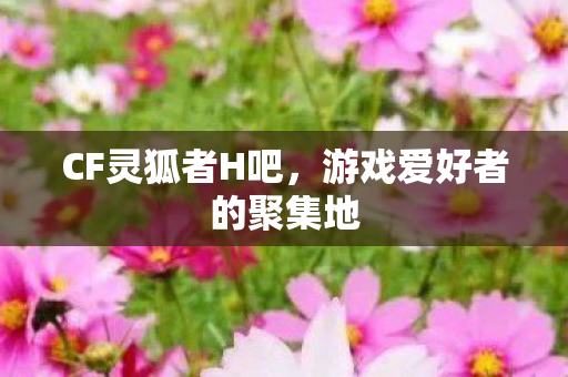 游戏爱好者的聚集地图片