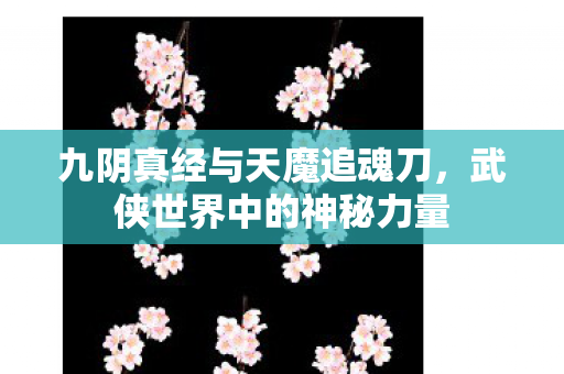九阴真经与天魔追魂刀图片